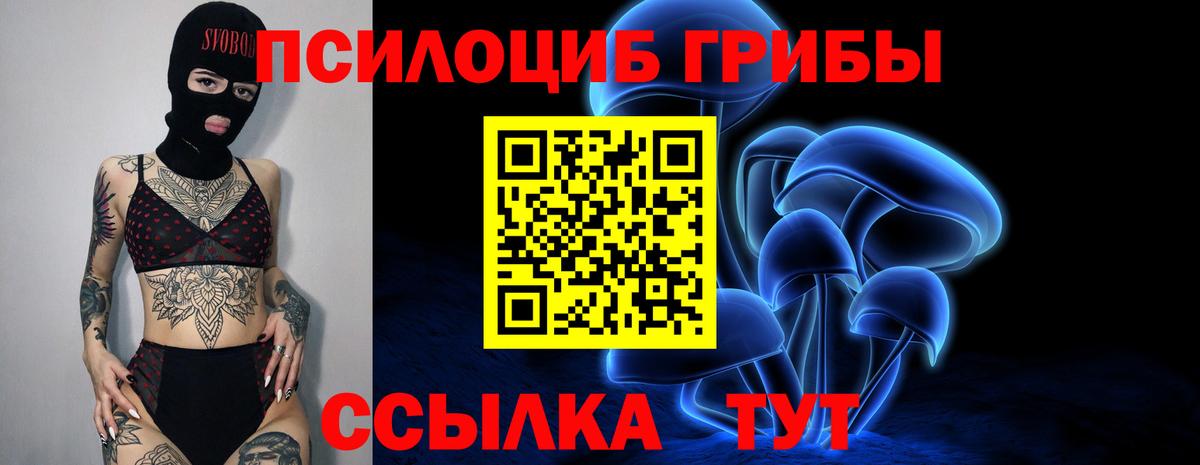 Галлюциногенные грибы мицелий  Галлюциногенные грибы прущие грибы  Вход с VPN  Кострома 